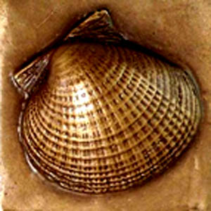 Copper on Bronze DB-SS-6-CoB