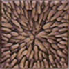 Sunburst DG-CM-2