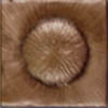 Button DG-CT-6