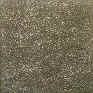 Coral Nickel Silver