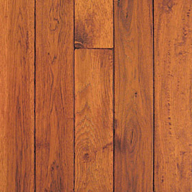 Autumn Hickory